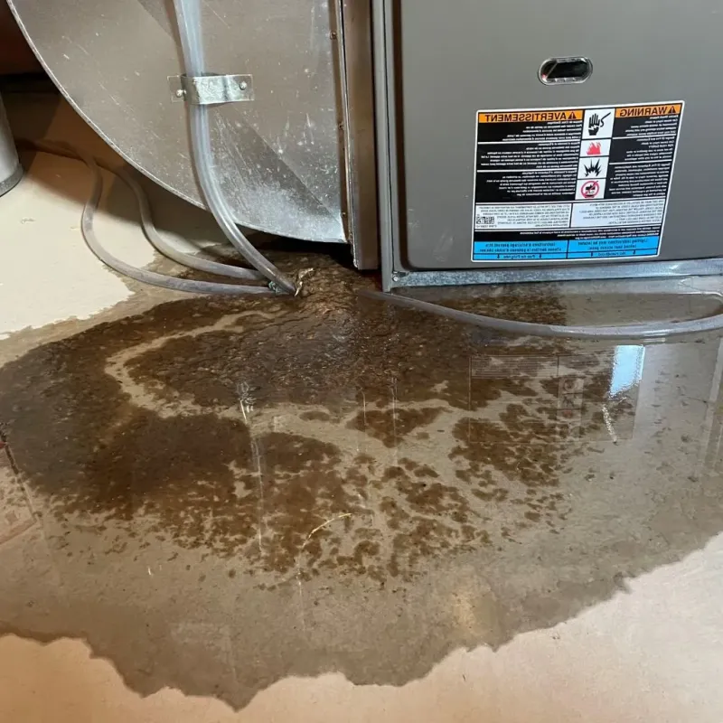 Pipe Burst and Leak Restoration in Tewksbury, MA