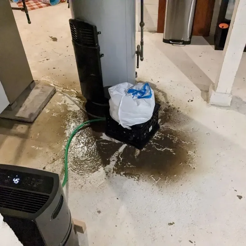 Sewage Backup Cleanup Service in Tewksbury, MA